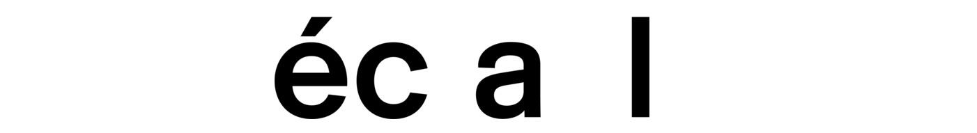 ECAL ECAL